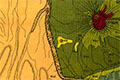 Geological maps of Kenya